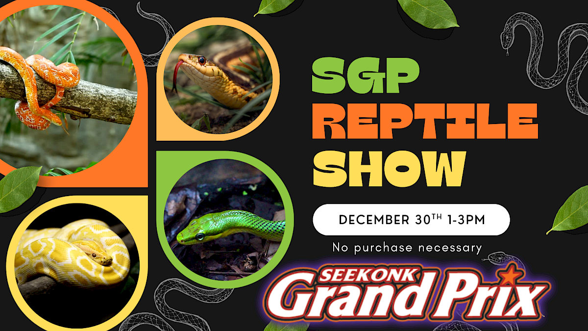Snake Sale Display SGP Reptile Show 1-3PM